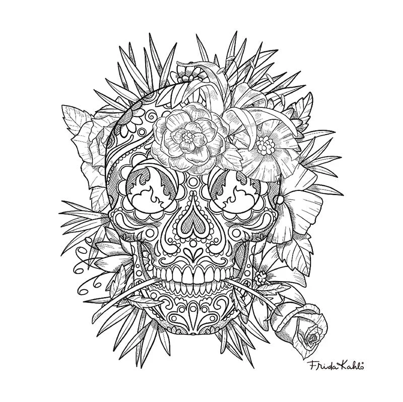 Imagen del producto 4